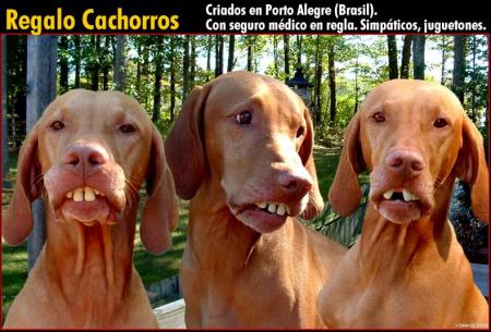 groupe bordeaux